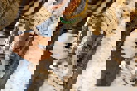 person using a tool to work on a pipe or a cylindrical object