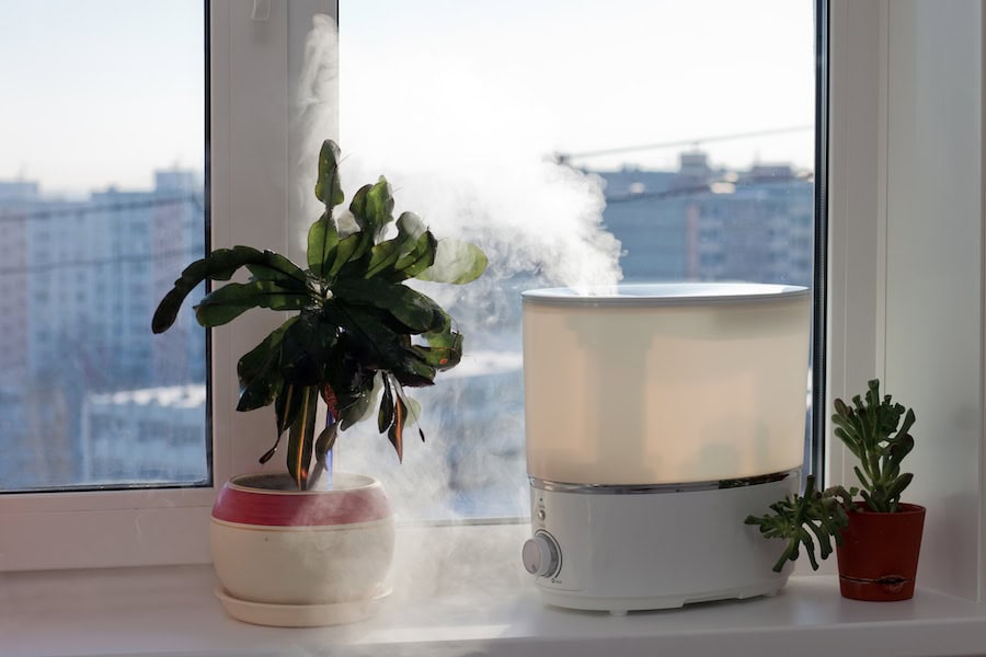 Humidifier sitting on a window ledge, next to a plant, spreading steam into the living room.